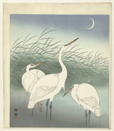 Häger på grunt vatten av Ohara Koson