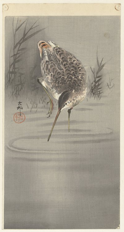 Slipa i vatten av Ohara Koson