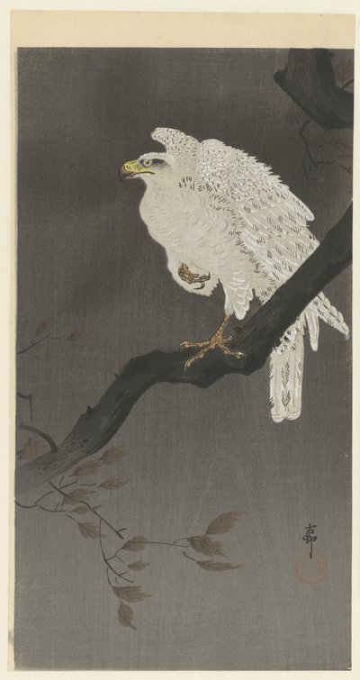 Snöörn på en gren av Ohara Koson