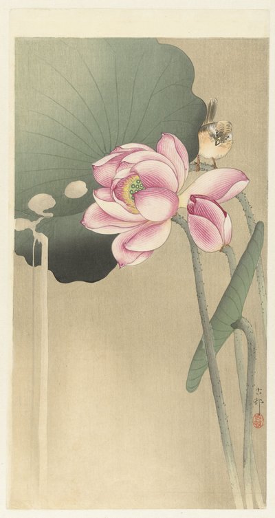 Songbird och Lotus av Ohara Koson