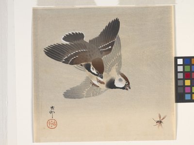 Sparrows Chasing Flying Insect (trätryck i färg) av Ohara Koson