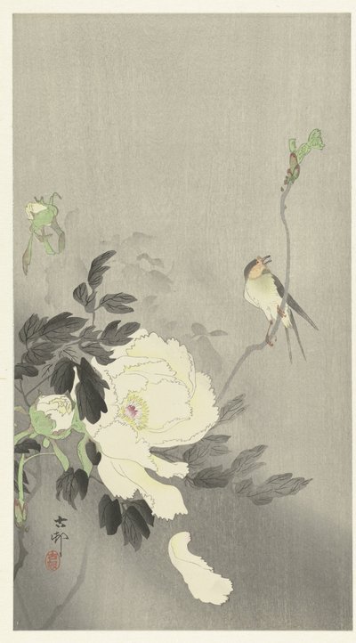 Svälja med pion av Ohara Koson