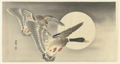 Två ankor vid fullmåne av Ohara Koson