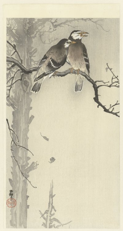 Två grå starar av Ohara Koson