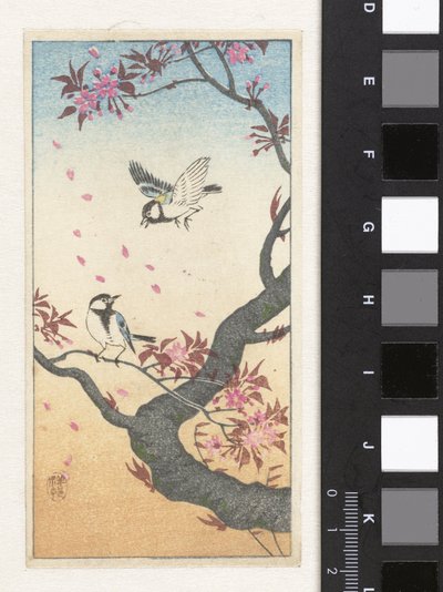 Två talgoxar vid ett blommande träd av Ohara Koson