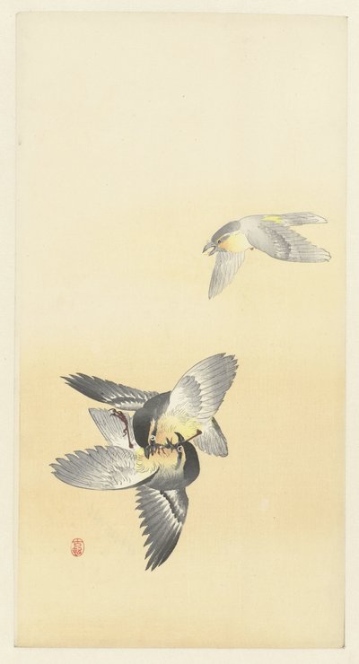 Två stridsfåglar av Ohara Koson