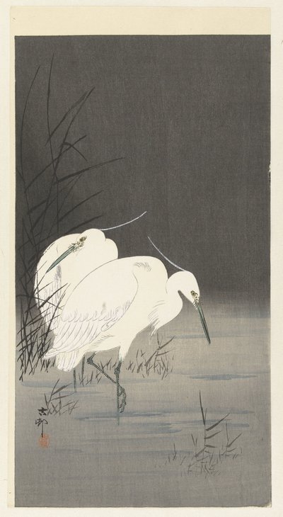 Två hägrar i vassen av Ohara Koson