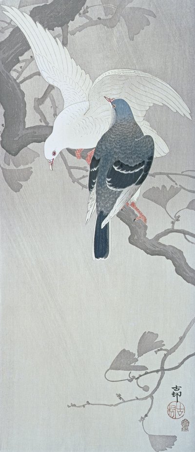 Två duvor i regnet på en gren av ett ginkgoträd av Ohara Koson