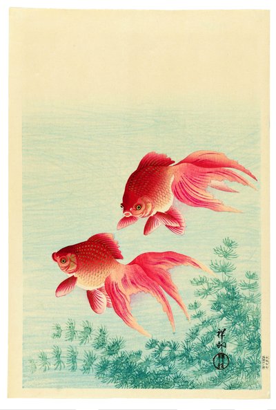 Två slöjstjärtade guldfiskar av Ohara Koson