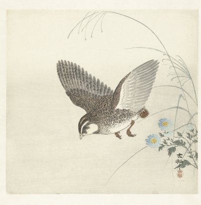 flygande vaktel av Ohara Koson