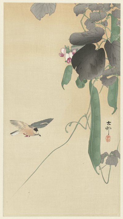 Fågel på blommande bönväxt av Ohara Koson
