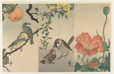 Fåglar och växter av Ohara Koson