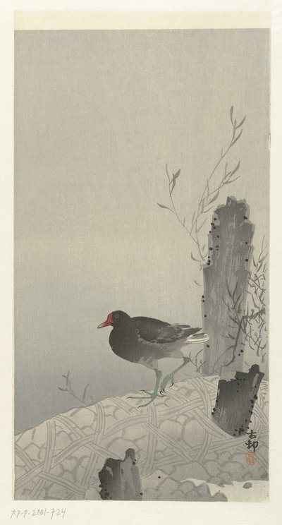 Waterhoen av Ohara Koson