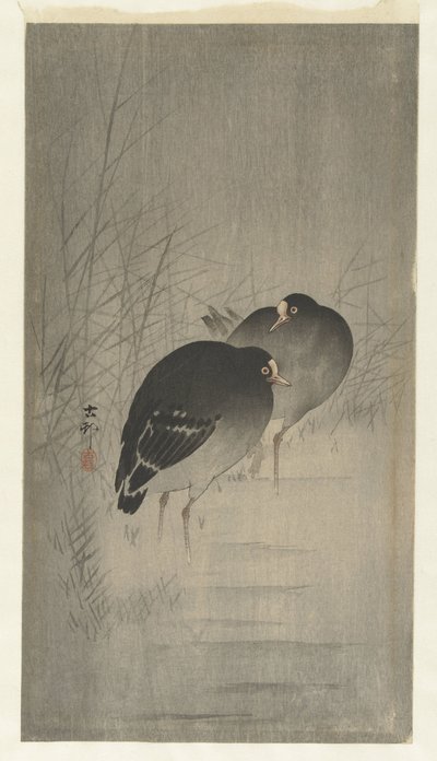 Morhöns mellan vass av Ohara Koson