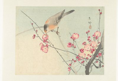Sångfågel på blomgren av Ohara Koson