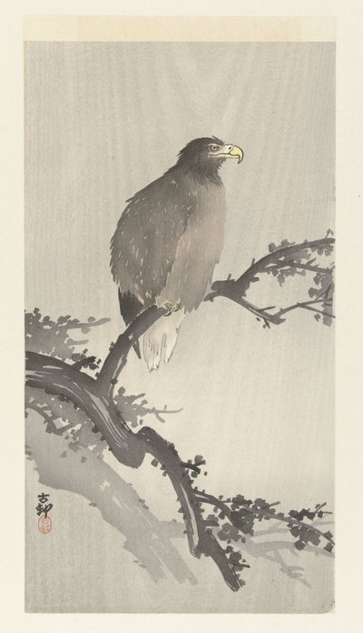 Vit skallig örn på gren av Ohara Koson