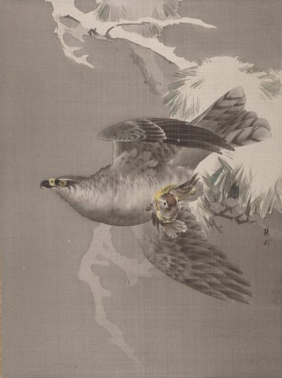 Hawk som håller en liten fågel, ca. 1891-92. av Okada Baison