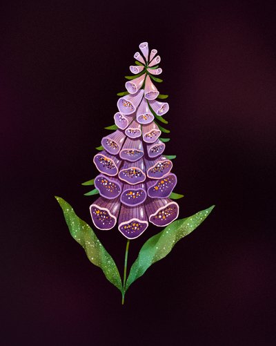 Elegant lila fingerborgsblomma av Olga Skomorokhova