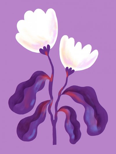 Moderna lavendelblommor av Olga Skomorokhova