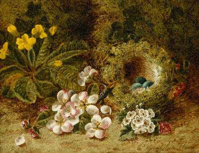 Apple Blossoms, ett primula och fågelbo på en mossig bank, av Oliver Clare