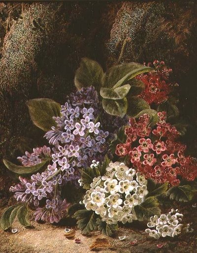 Stilleben med blomma av Oliver Clare