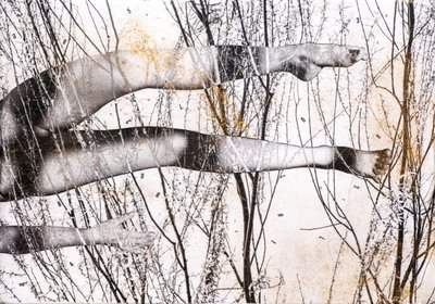 Gambe volanti, 2022 (blandteknik på trä) av Olivia Gozzano