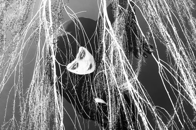 Ladra, 2023 (digital blandteknik) av Olivia Gozzano