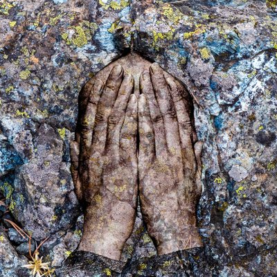 Licheni, 2024 (digital blandteknik) av Olivia Gozzano