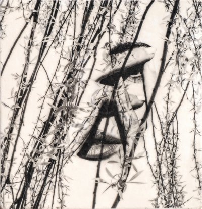 Maura, 2022 (fototransfer bivax på trä ) av Olivia Gozzano