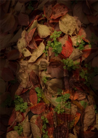 Queen of Leaves, 2025 (digital blandteknik) av Olivia Gozzano
