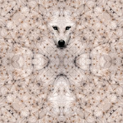 Semi lupus, 2023 (digital blandteknik) av Olivia Gozzano