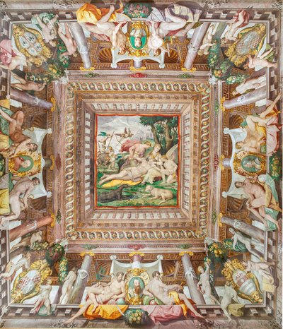 Utsikt över taket i Adonis-rummet och minnesstenarna för familjemedlemmarna Rossi, Gonzaga, Riario och Medici, Rocca dei Rossi, San Secondo, Parma, Italien av Orazio (attr.to) Samacchini