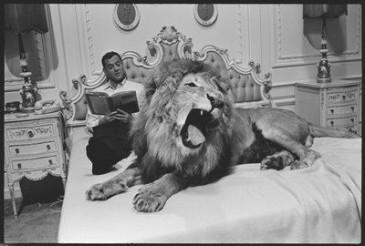 Tony Randall med lejon (Zamba), på uppsättningen av "Fluffy" av Orlando Suero