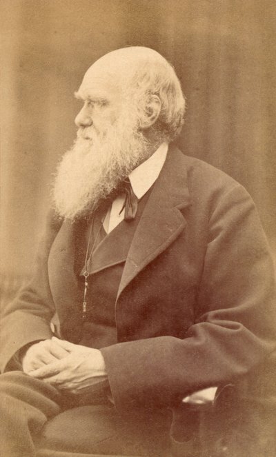 Porträtt av Charles Darwin vid 72 års ålder, ca 1871 (albumintryck) av Oscar Gustav Rejlander