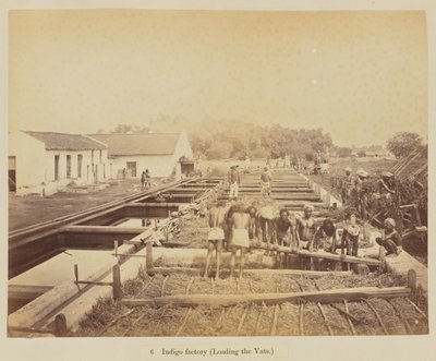 Indigo factory (lastar karen) av Oscar Jean Baptiste Mallitte
