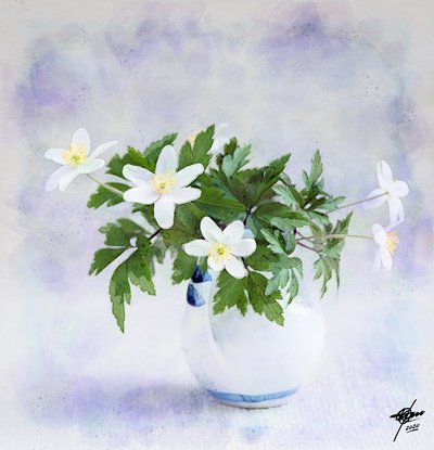 Ömtåliga vita vårblommor av Osvaldo Russo