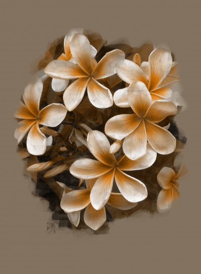 Tropiska plumeria i blom av Osvaldo Russo