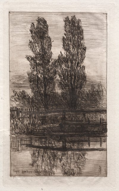 Poplar, Royal Garden, Schleissheim, 1879. av Otto H. Bacher
