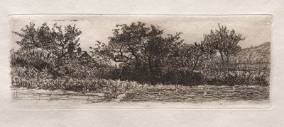 Tak och träd, 1879. av Otto H. Bacher