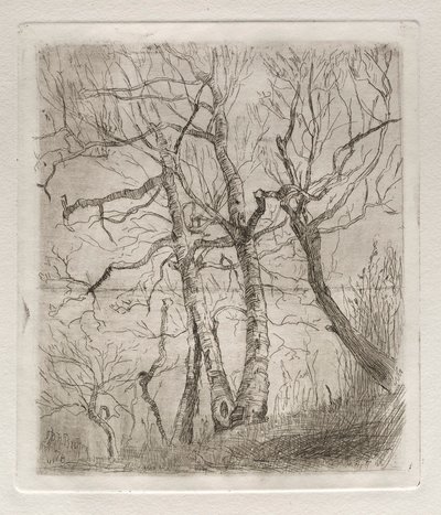 Träd, 1878. av Otto H. Bacher
