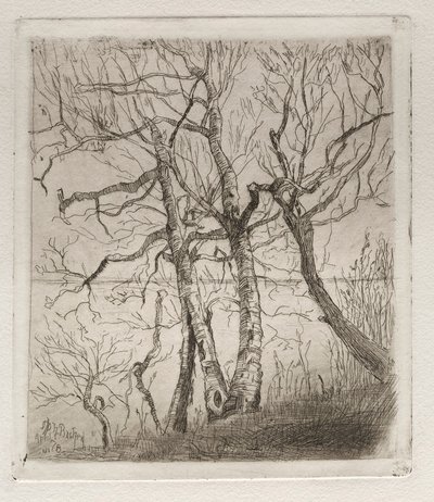 Skogen vid sjön, 1878. av Otto H. Bacher