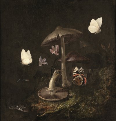 En "sotto bosco" med svampar, fjärilar, en trollslända, en orm och en ödla (olja på duk) av Otto Marseus van Schrieck