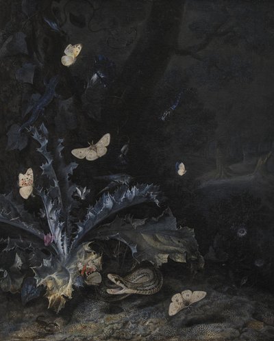 Stilleben med tistel och orm av Otto Marseus  van Schrieck