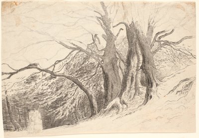 En bluff med stora träd i en skog, med två gående damer. av P.C. Skovgaard