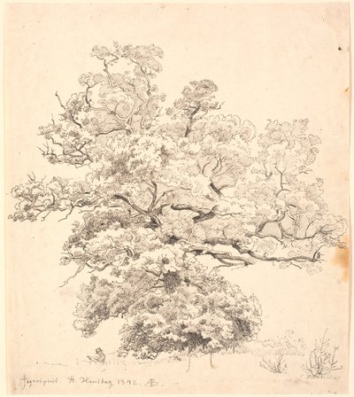 En stor ek, under vilken sitter en tecknande man. av P.C. Skovgaard