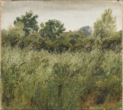 Havrefält nära Vejby av P.C. Skovgaard