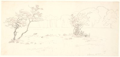 Från Eremitagesletten i Dyrehaven. av P.C. Skovgaard