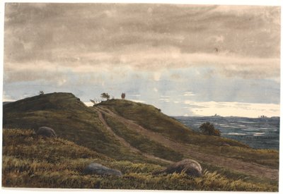 Landskap med en sandväg som leder över en ljungkulle. Till höger utsikt över vidsträckt mark med torvmossar. Från Raagelejeområdet? av P.C. Skovgaard