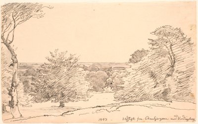 Landskap med träd och vid utsikt från Ambjergene mot Vordingborg. av P.C. Skovgaard