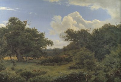Ekar i Nordskoven nära Jægerspris, Zeeland av P.C. Skovgaard